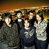 Finch - List pictures