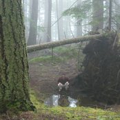 Mount Eerie - List pictures