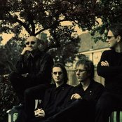 Porcupine Tree - List pictures