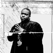 Beanie Sigel - List pictures