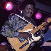 Albert Collins - List pictures