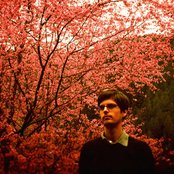 Goldmund - List pictures