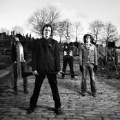 Ryan Adams & Cardinals - List pictures