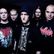 Ingested - List pictures