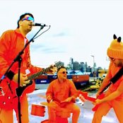 Rndm - List pictures