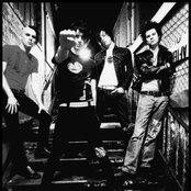 Stun - List pictures