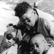 Immature - List pictures