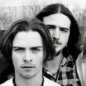 Days Of The New - List pictures