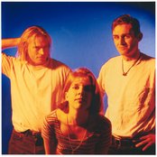 Belly - List pictures