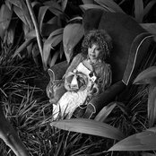 Elza Soares - List pictures