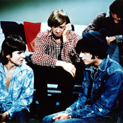 Monkeys - List pictures