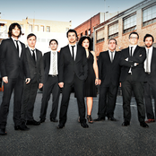 The Bamboos - List pictures