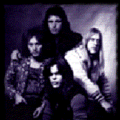 Buffalo - List pictures