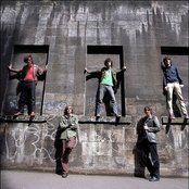 Strokes - List pictures