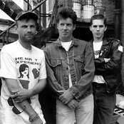 Queers - List pictures