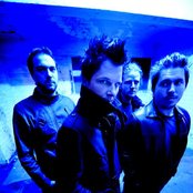 Zornik - List pictures