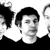 Young Gods - List pictures