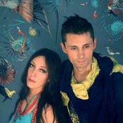 Vena - List pictures