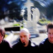 Paramaecium - List pictures