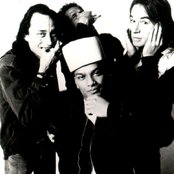 Urban Dance Squad - List pictures