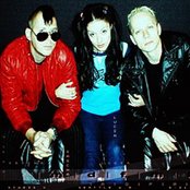 Mdfmk - List pictures