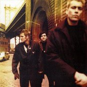 Die Ärzte - List pictures