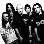 Fight - List pictures