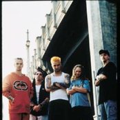 Flaw - List pictures