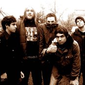 I Am The Avalanche - List pictures