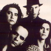 Caifanes - List pictures