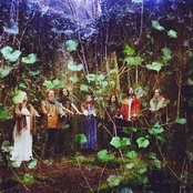 Rose Windows - List pictures