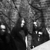 Moss - List pictures