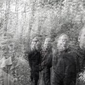 Yung - List pictures