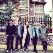 Husky - List pictures