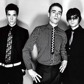 Zoot Woman - List pictures