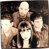 Tapping The Vein - List pictures