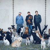 Peter Bjorn And John - List pictures