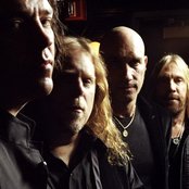 Gov't Mule - List pictures