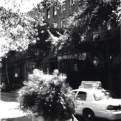 Albert Hammond, Jr. - List pictures