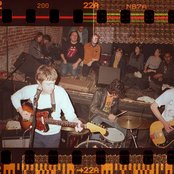 White Fence - List pictures