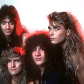 White Lion - List pictures