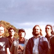 The Phoenix Foundation - List pictures