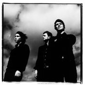 White Lies - List pictures