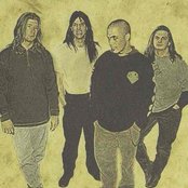 Stanid - List pictures