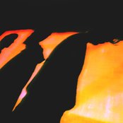 Plastic Flowers - List pictures