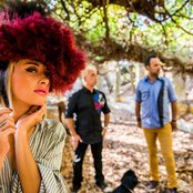 Amor Electro - List pictures