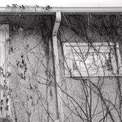 Faith Healer - List pictures