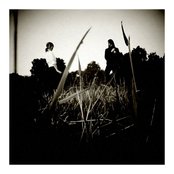 The Ropes - List pictures