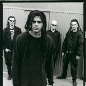 Professional Murder Music - List pictures