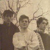 Icicle Works - List pictures